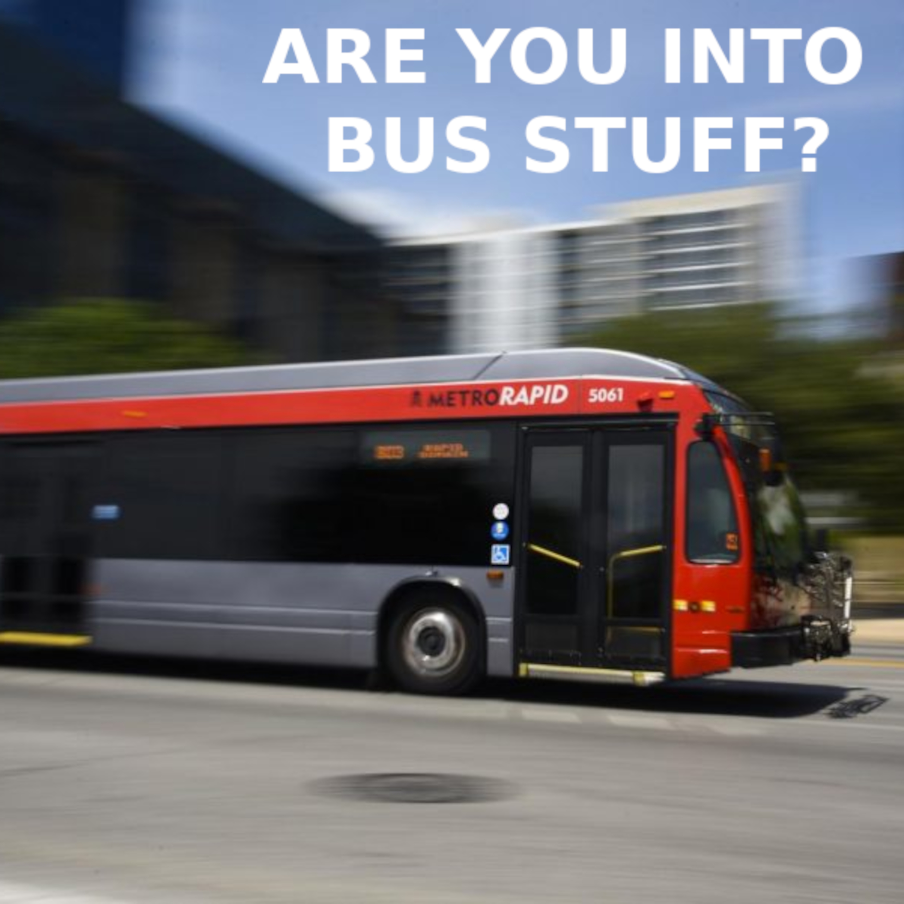 Are You Into Bus Stuff?